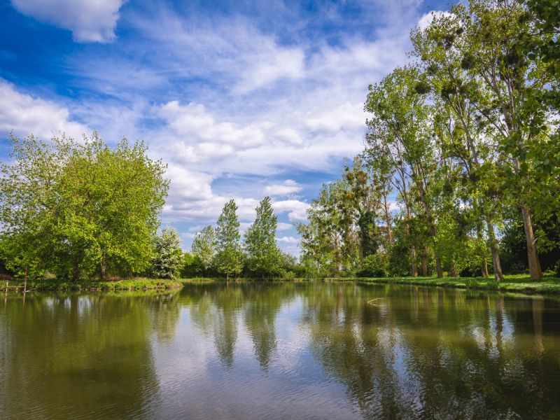 Le parc du Domaine